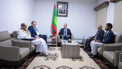 صورة وزير التكوين المهني والصناعة التقليدية والحرف يستقبل مدير مكتب منظمة العمل