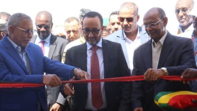 صورة وزير التنمية الحيوانيه يطلق الأيام الوطنية للثروة الحيوانيه