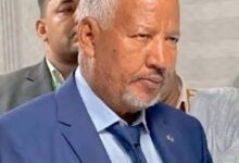 صورة موريتانيا وغزة : فصل الخطاب  بقلم محمد الشيخ ولد سيد محمد