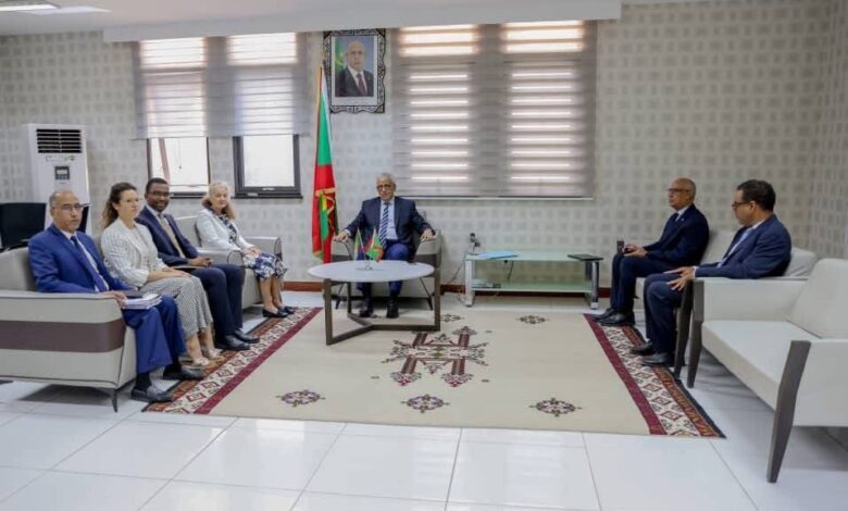 صورة وزير الشؤون الاقتصادية والتنمية يتباحث مع المنسقة المقيم للأمم المتحدة