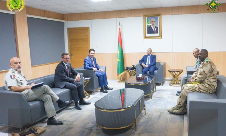 صورة وزير الدفاع يستقبل مسؤولا فرنسيا رفيع المستوى