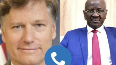 صورة محادثة هاتفية بين وزير الشؤون الخارجية ونائب وزير الخارجية الأمريكي للشأن الإفريقي