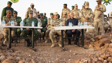 صورة وزير الدفاع رفقة قائد الأركان العامة للجيوش يشرف على مناورات عسكرية