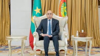 صورة رئيس الجمهورية يتسلم أوراق اعتماد سفراء كل من فرنسا وفلسطين وغينيا بيساو والكونغو