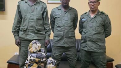 صورة الجمارك تحبط محاولة تهريب كميات من القنب الهندي المخدر