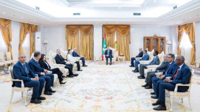 صورة رئيس الجمهورية يستقبل وفدًا من شركة “غوغاز القابضة” لبحث فرص الاستثمار في قطاع الطاقة