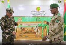 صورة انعقاد الاجتماع الأمني التنسيقي الثالث بين الجيشين الموريتاني والجزائري