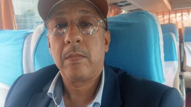 صورة القبلية بين بناء الديمقراطية الموريتانية وتعطيل دولة القانون