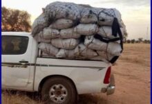 صورة الدرك الوطني بسيلبابي يحبط عدة عمليات تهريب في الولاية