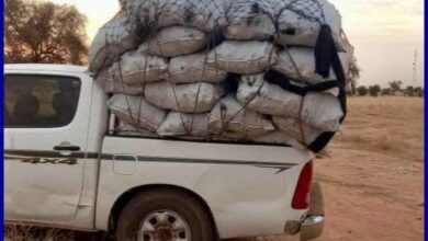 صورة الدرك الوطني بسيلبابي يحبط عدة عمليات تهريب في الولاية