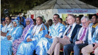 صورة وزير الثقافة يفتتح النسخة الثامنة من مهرجان آردين