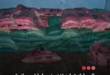 صورة الجمارك تعلن تنفيذ عمليات ميدانية متزامنة وتصادر أكثر من 18 طناً من الأرز الأجنبي