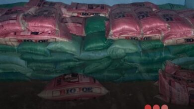 صورة الجمارك تعلن تنفيذ عمليات ميدانية متزامنة وتصادر أكثر من 18 طناً من الأرز الأجنبي