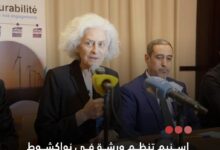 صورة اسنيم تنظم ورشة في نواكشوط حول تكامل الطاقة والمعادن بالتعاون مع البنك الدولي