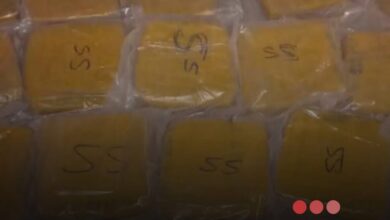 صورة الشرطة تعلن إحباط تهريب 27كلغ من القنب الهندي في غابو والقبض على مشتبه به