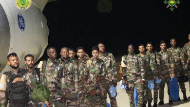 صورة عودة الفوج الأول من الكتيبة التاسعة لحفظ السلام بعد إتمام مهامه في جمهورية إفريقيا الوسطى