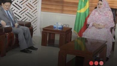 صورة وزيرة التجارة والسياحة تبحث مع السفير الصيني آفاق التعاون المشترك