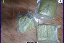 صورة الـــدرك الـــوطـــني يوقـف مشتبهًا به بحــــوزته أكثــــر من كيلـــــوغرامين من القنب الهندي