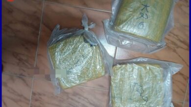 صورة الـــدرك الـــوطـــني يوقـف مشتبهًا به بحــــوزته أكثــــر من كيلـــــوغرامين من القنب الهندي