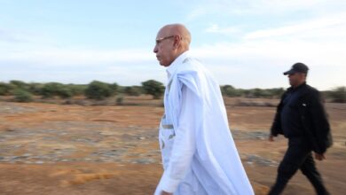 صورة رئيس الجمهورية يتفقد الطريق الرابط بين آمرج وعدل بكرو