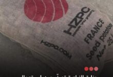 صورة وزارة الزراعة تحذر من استعمال بذور بطاطس غير صالحة للاستهلاك