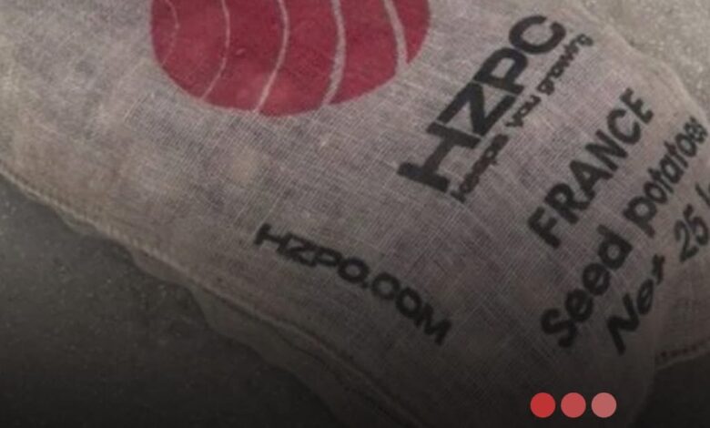 صورة وزارة الزراعة تحذر من استعمال بذور بطاطس غير صالحة للاستهلاك