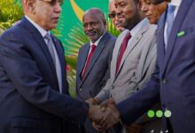 صورة نخبة_الهرده بقلم هارون ولد اديقبي