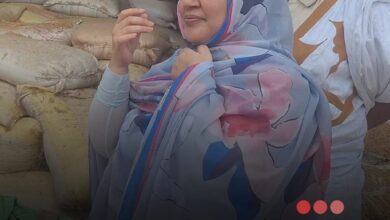 صورة مديرة المركزية للشراء والتموين تؤدي زيارة ميدانية لروصو لمتابعة تسويق الأرز ودعم المزارعين