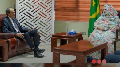 صورة وزيرة التجارة والسياحة تبحث مع السفير المغربي سبل تعزيز التعاون الثنائي