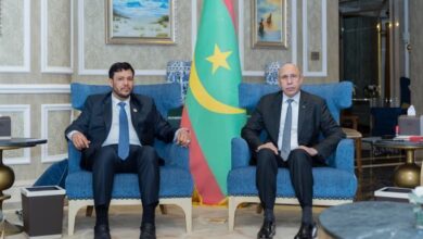 صورة رئيس الجمهورية يلتقي نائب رئيس مجلس القيادة الرئاسي اليمني