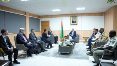 صورة وزير الدفاع يستقبل وفد ألمانيا رفيع المستوى