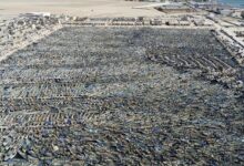 صورة استئناف أنشطة الصيد التقليدي بعد التوقف البيولوجي