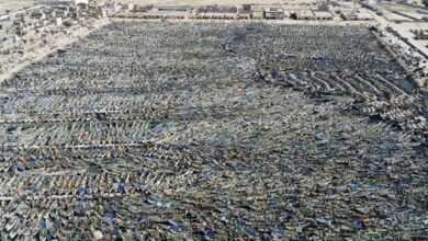 صورة استئناف أنشطة الصيد التقليدي بعد التوقف البيولوجي