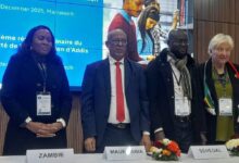 صورة موريتانيا تُنتخب نائبًا أول للجنة متابعة تنفيذ اتفاقية أديس أبابا