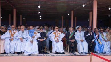 صورة رئيس الجمهورية يشرف على إطلاق النسخة الرابعة عشرة من مهرجان مدائن التراث في مدينة وادان