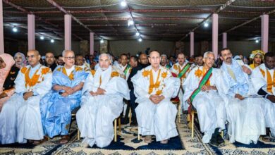 صورة رئيس الجمهورية يشرف على انطلاق السهرة الثقافية الأولى من النسخة الرابعة عشرة لمهرجان مدائن التراث في وادان