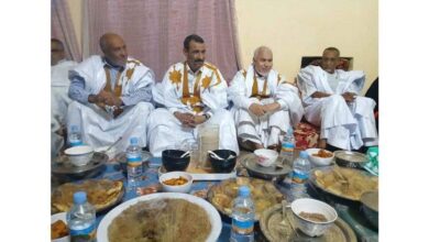 صورة وزير الثقافة والفنون يؤدي زيارة لدار ولاته بوادان