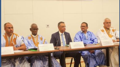 صورة وزير الصحة يفتتح ورشة مخصصة للتكوين والتشاور مع المجالس الجهوية