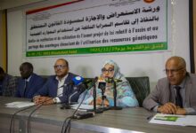 صورة وزارة البيئة تنظم ورشة لإثراء وإجازة مسودة القانون المتعلق بالمزايا الناجمة عن الموارد الجينية