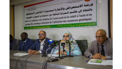 صورة وزارة البيئة تنظم ورشة لإثراء وإجازة مسودة القانون المتعلق بالمزايا الناجمة عن الموارد الجينية