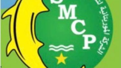 صورة الشركة الموريتانية لتسويق الأسماك تحقق رقم صادرات قياسيا سنة 2025