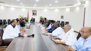 صورة الوزير الأول يترأس اجتماع حول منتوج الأرز المحلي