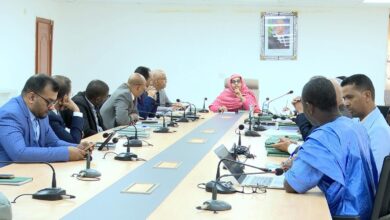 صورة وزيرة البيئة تترأس اجتماعا تحضيريا لانعقاد المجلس الوطني للبيئة والتنمية المستدامة