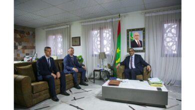 صورة وزير التعليم العالي يلتقي القائم بالأعمال بسفارة أوكرانيا في ن موريتانيا