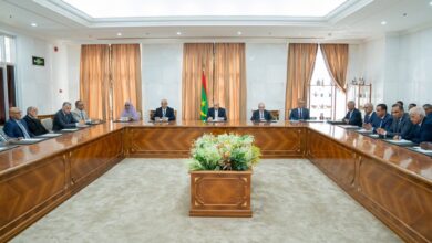 صورة الرئيس الجمهورية يستقبل رئيس اتحاد أرباب العمل وأعضاء في قطاع الصيد