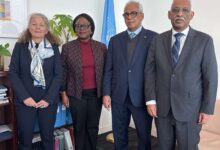 صورة وزير الشؤون الاقتصادية يبحث مع مسؤولة أممية تعزيز الشراكة في مجال الوقاية من النزاعات