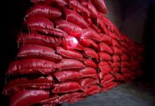 صورة الجمارك تحبط تهريب ستة أطنان من الأرز بولاية گيدماغه