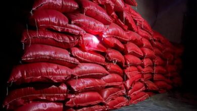 صورة الجمارك تحبط تهريب ستة أطنان من الأرز بولاية گيدماغه