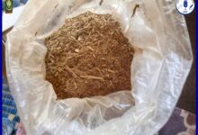 صورة الدرك الوطني : يحبط عمليتي تهريب مخدرات على طريق نواذيبو-نواكشوط