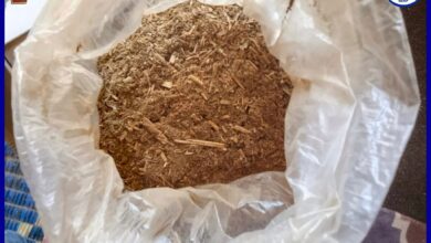 صورة الدرك الوطني : يحبط عمليتي تهريب مخدرات على طريق نواذيبو-نواكشوط